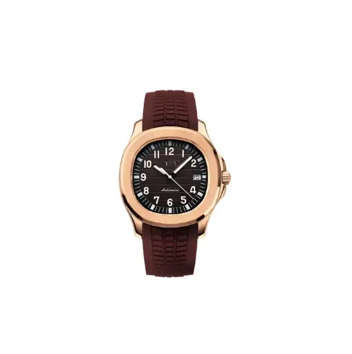 GM aquanaut marron